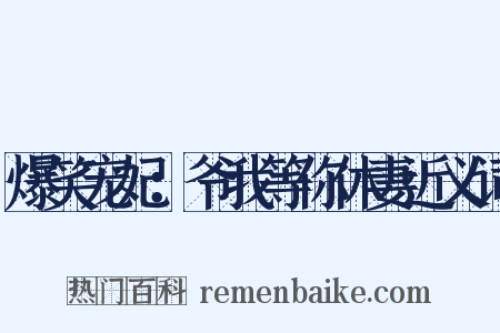 爆笑宠妃：爷我等你休妻近义词是什么意思的图片